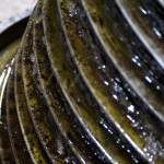 olio_brindisi