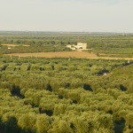 terre d'otranto