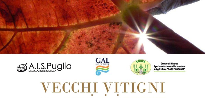 VECCHI VITIGNI per nuovi vini – Seconda edizione